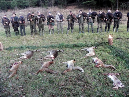 Koniec vydarenej polovačky z orlami