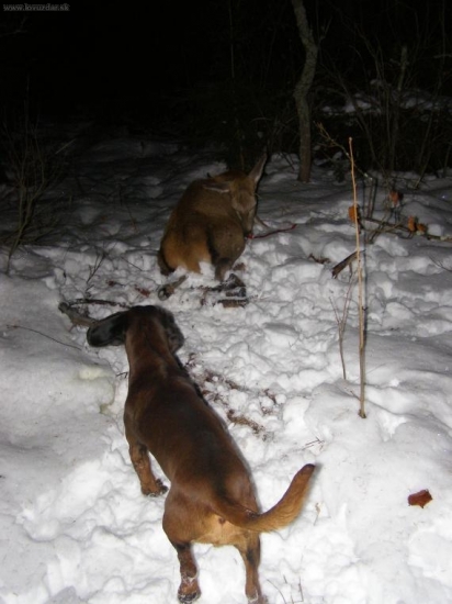 pár rôčkou dozadu