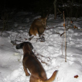 pár rôčkou dozadu