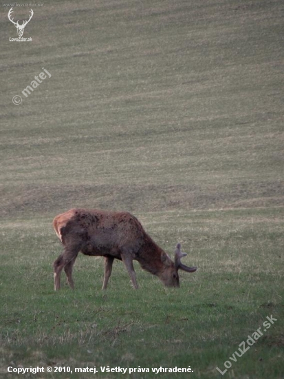 62730