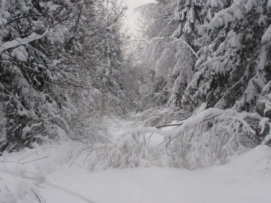 ani nepoznat ze tu je cesta