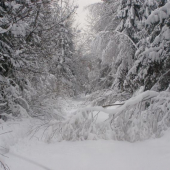 ani nepoznat ze tu je cesta