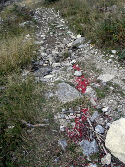 Dakto mal asi naponáhlo !