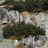 Krása našej prírody