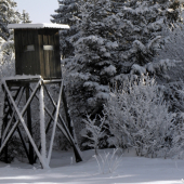 Posedík v bielom objatí