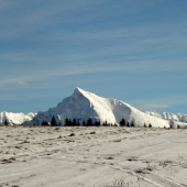 Kriváň s poza vŕšku