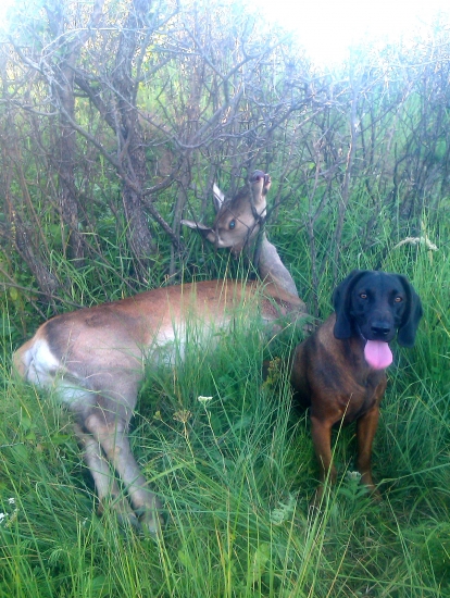 našli moji rádcové :-)