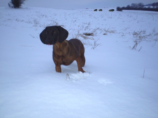 keby si sa otočila, niečo by si videla