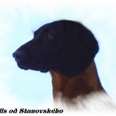 Felis od Stanovského