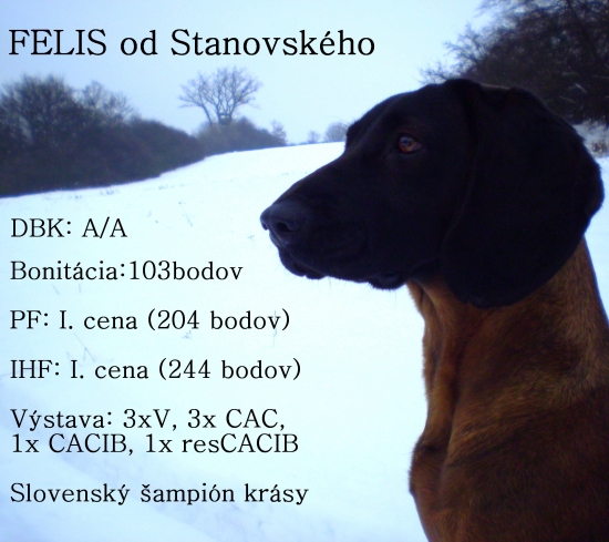 Podmienky chovnosti splnené (všetky a na 1*)