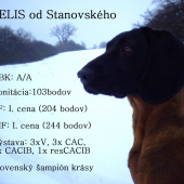 Podmienky chovnosti splnené (všetky a na 1*)