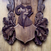 detail