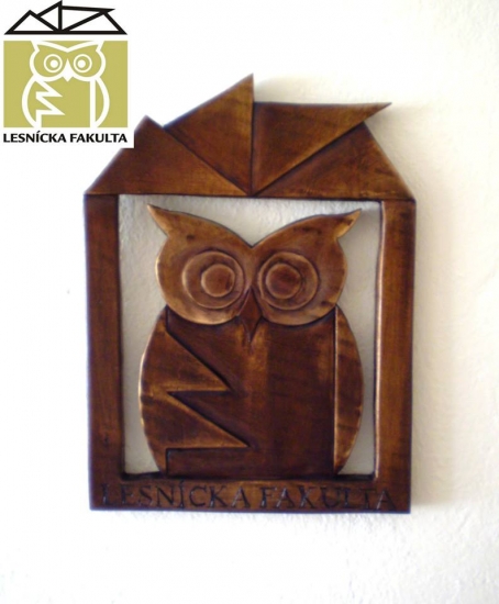 lesní inžinieri poznajú