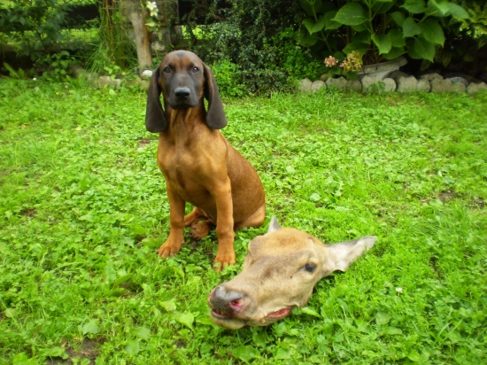 prvá stopa zvládnutá