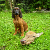 prvá stopa zvládnutá