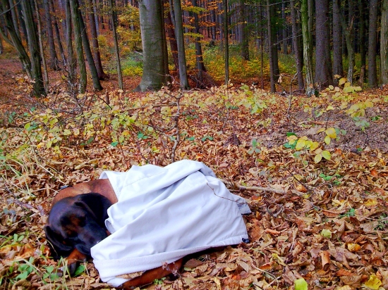 unavená po brigáde