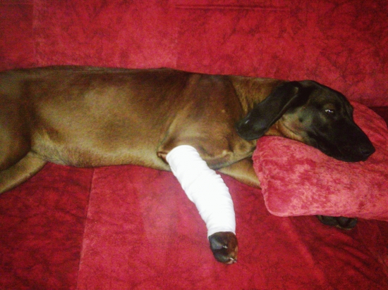 môj maličký maródik