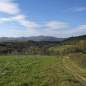 Niečo z revíru III