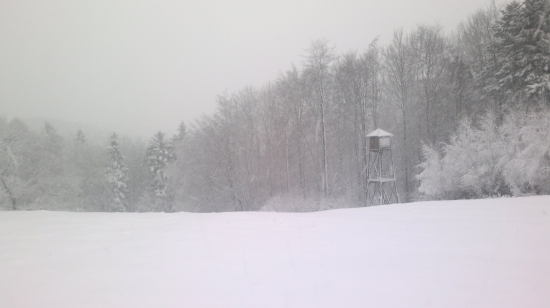 Dnes nám trošku nasnežilo