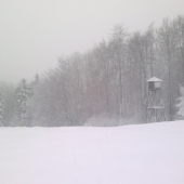 Dnes nám trošku nasnežilo