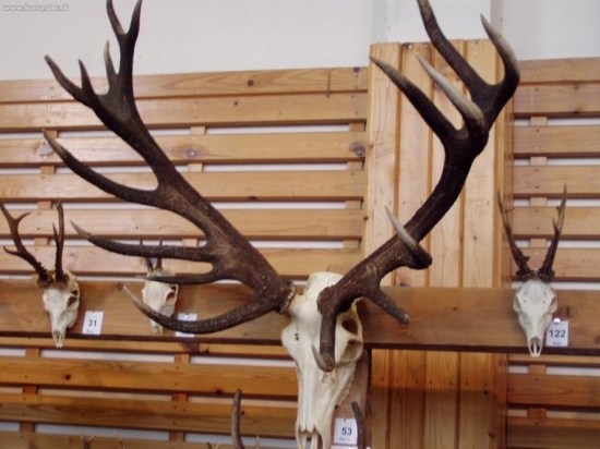 Úhyn (206,06b.)OkO SPZ Prešov