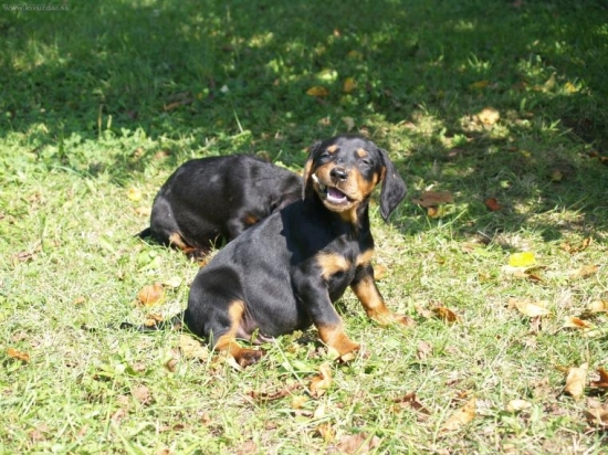 teraz mám už 3. mesiace