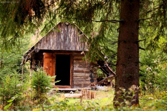 keby vedela rozprávať....