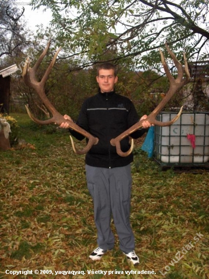 No čo majú zhruba 200 bodov