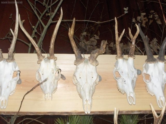 ten vstrede mal zevraj 16 rokov co vy nato?