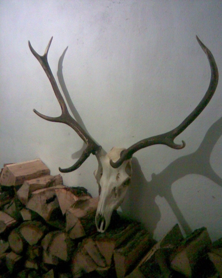 nezodpovednosť od strelca