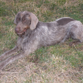Odloženie