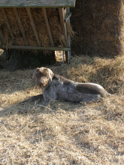 Vhodné miesto pre malú prestávku