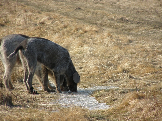 Čo ich asi zaujalo??
