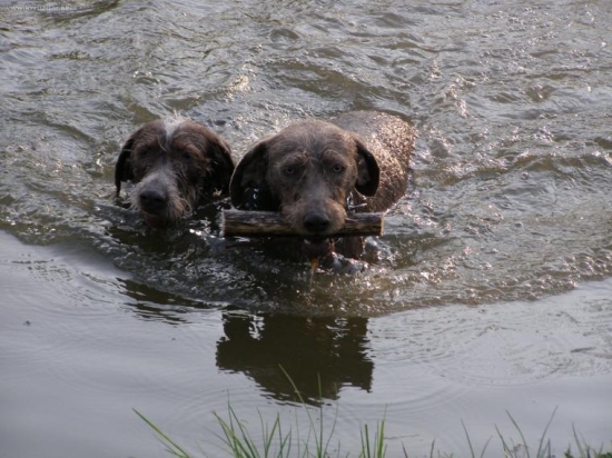 CITA a ASAN - Veľká noc