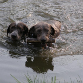 CITA a ASAN - Veľká noc