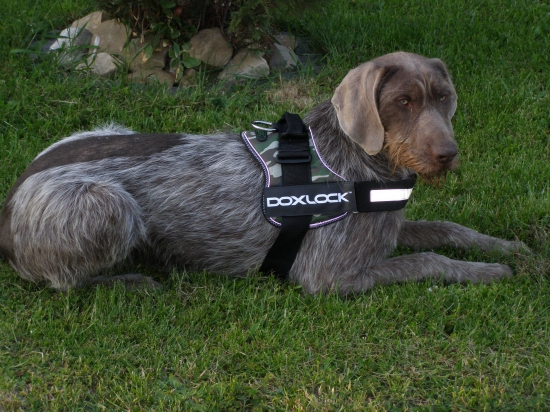 Ja som už pripravená, tak môžeme ísť von