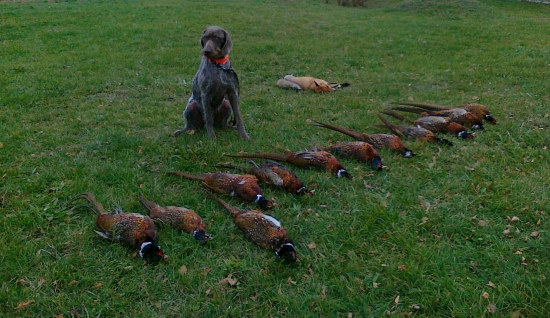 Úspešná spoločná poľovačka