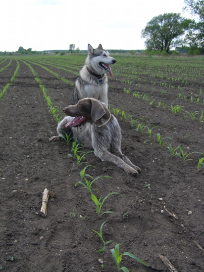 Citta a jej kamarát  Marty