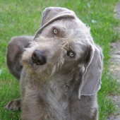 Za takýto herecký výraz som dostal Oscara