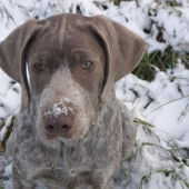 Povie mi niekto čo je to biele? BODDY zo Zezúl 5 mes.