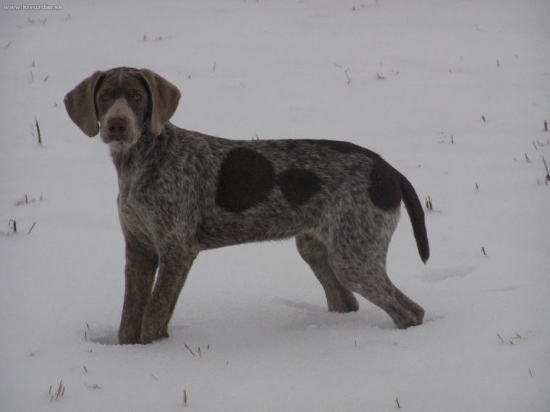 Pózujem dobre?  BODDY