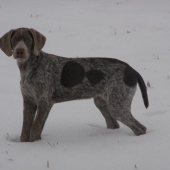 Pózujem dobre?  BODDY