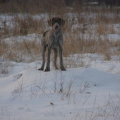Tak a teraz všetko vidím... BODDY