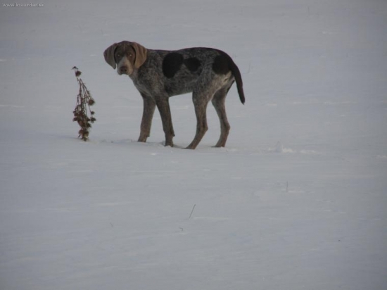 Pozri čo som našiel.... BODDY