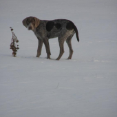 Pozri čo som našiel.... BODDY