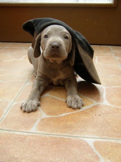 Mne nevadí, že prší ja som sa už zariadil..