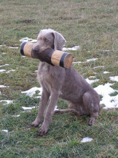 ASAN zo Zezúl - 10 mesiacov