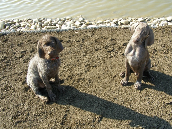 Tak a teraz nás už môžeš oboch vyfotografovať