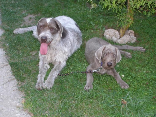 CITA z Milhostovských polí a ASAN zo Zezúl