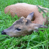 Moje najobľúbenejšie